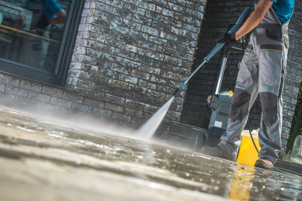 Best Graffiti Removal  in Inez, TX