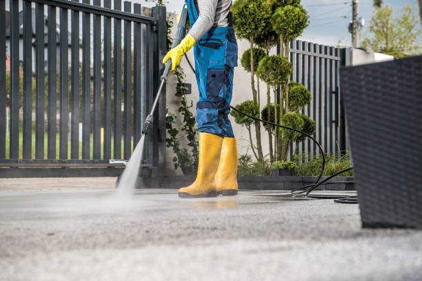Best Gutter Cleaning  in Inez, TX